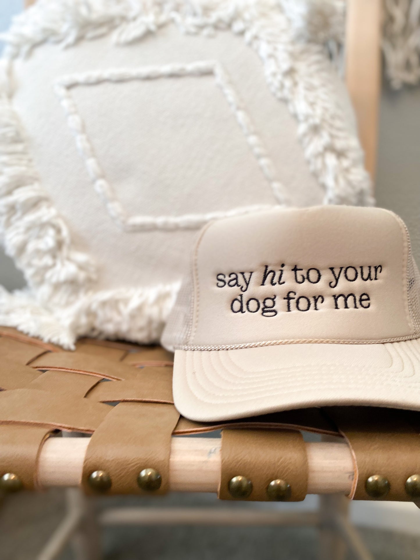 Say Hi To Your Dog For Me Trucker Hat