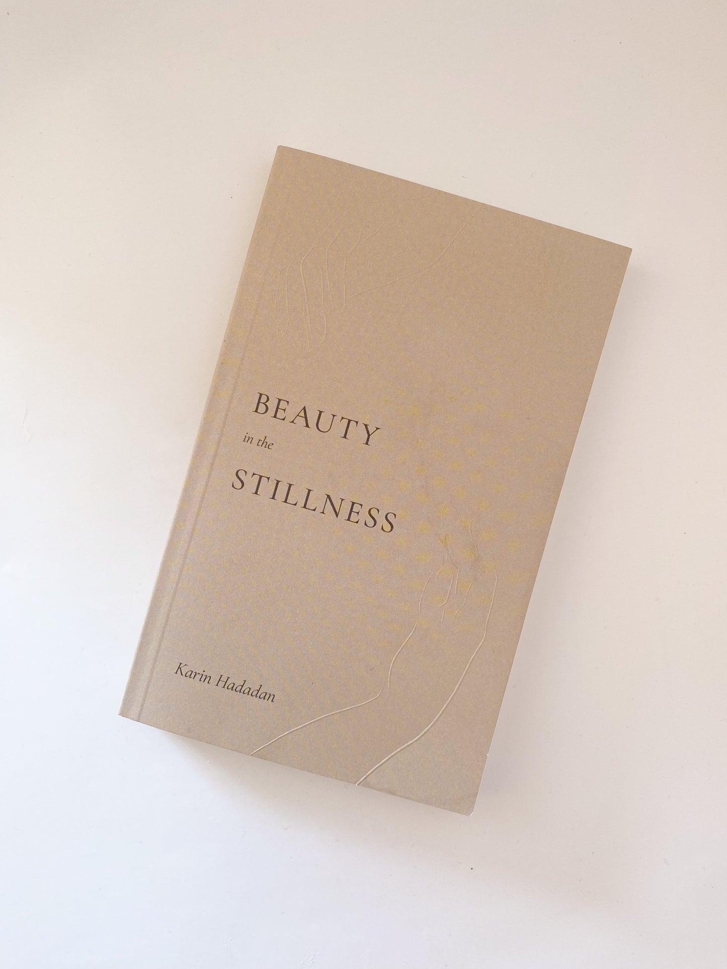 Beauty In The Stillness Book